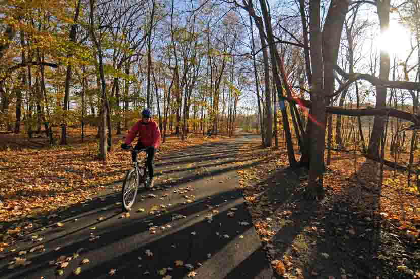 Fall biking at Carver Park Reserve. [photo credit: Three Rivers Park District]